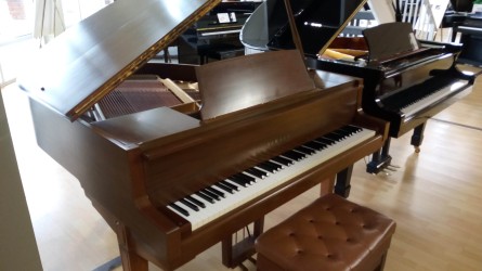 Yamaha-GO-818702
